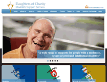 Tablet Screenshot of docservice.ie